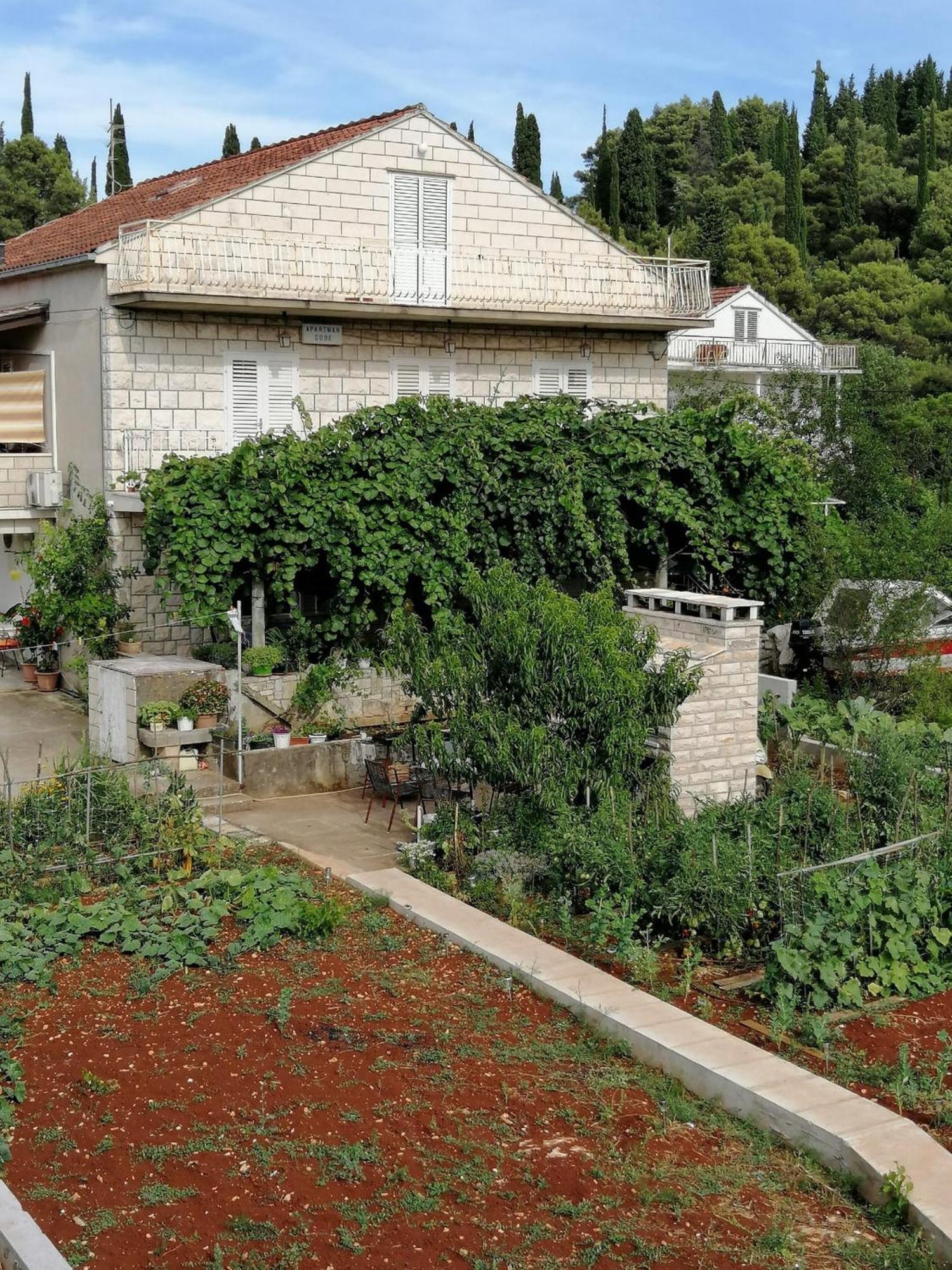 Apartments Marita Korcula Town Room photo